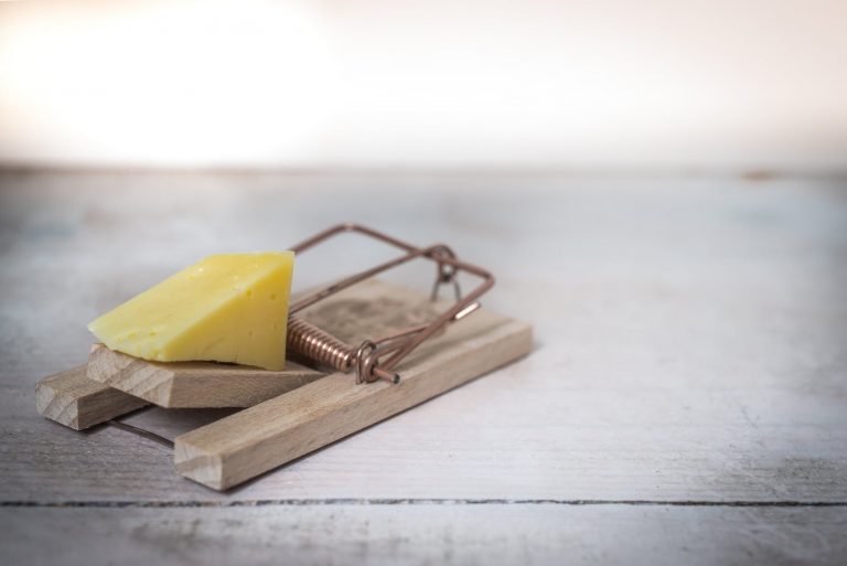 brown wooden mouse trap with cheese bait on top